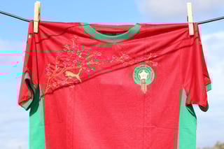 Close-up of lion embroidery detail