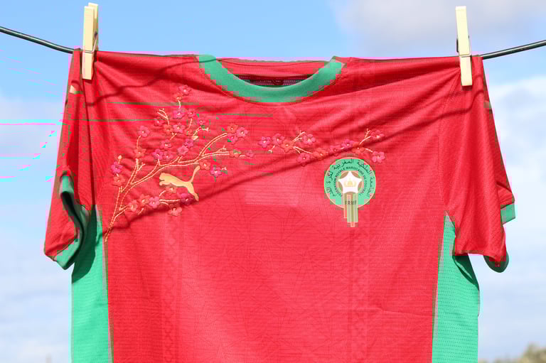 Close-up embroidery detail